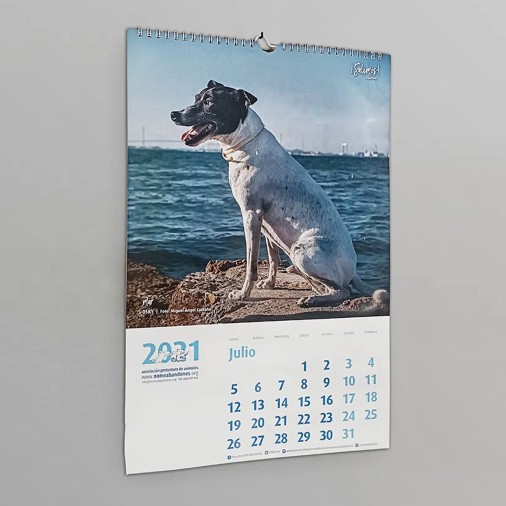 gal_ferias_calendario_3